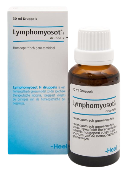 image-removebg-preview